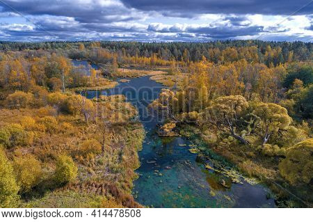 Above The Izvarka River In Golden Autumn. Izvara, Leningrad Region. Russia