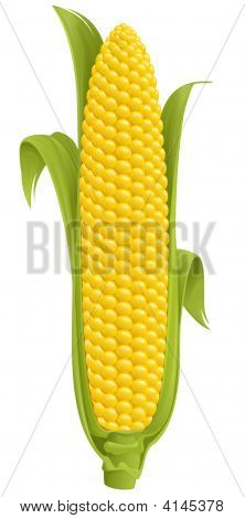 Maiskolben