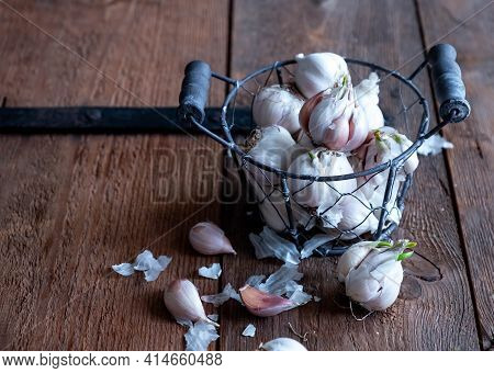 Garlic In A Basket On A Wooden Table. Planting Spring Garlic In The Garden