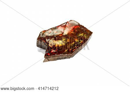 Macro Stone Ammolite Mineral On White Background