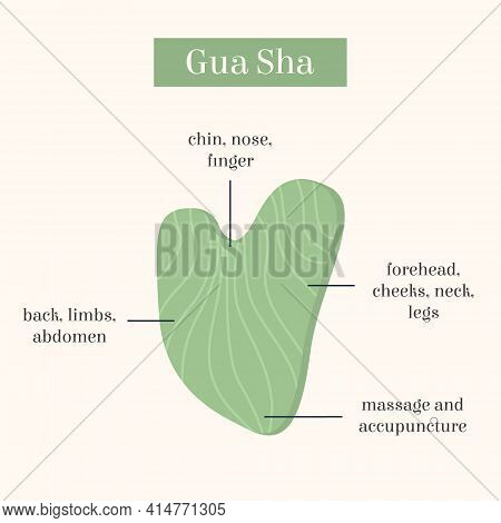 Infographic Of Gua Sha Jade Scraping Massage Tool Usage. Natural Pink Rose Quartz Stone Scraper. Chi