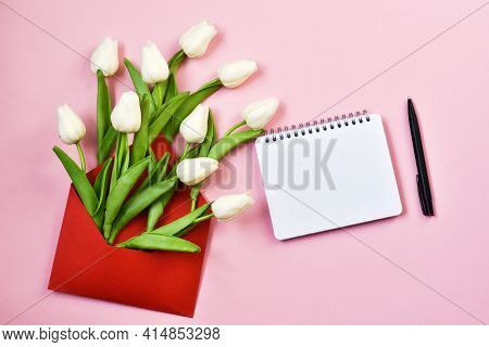White Tulips Spring In Envelope With Notebook On Pink Background. Flower Delivery Concept. Mother's 