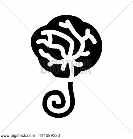 Placenta Human Glyph Icon Vector. Placenta Human Sign. Isolated Symbol Illustration