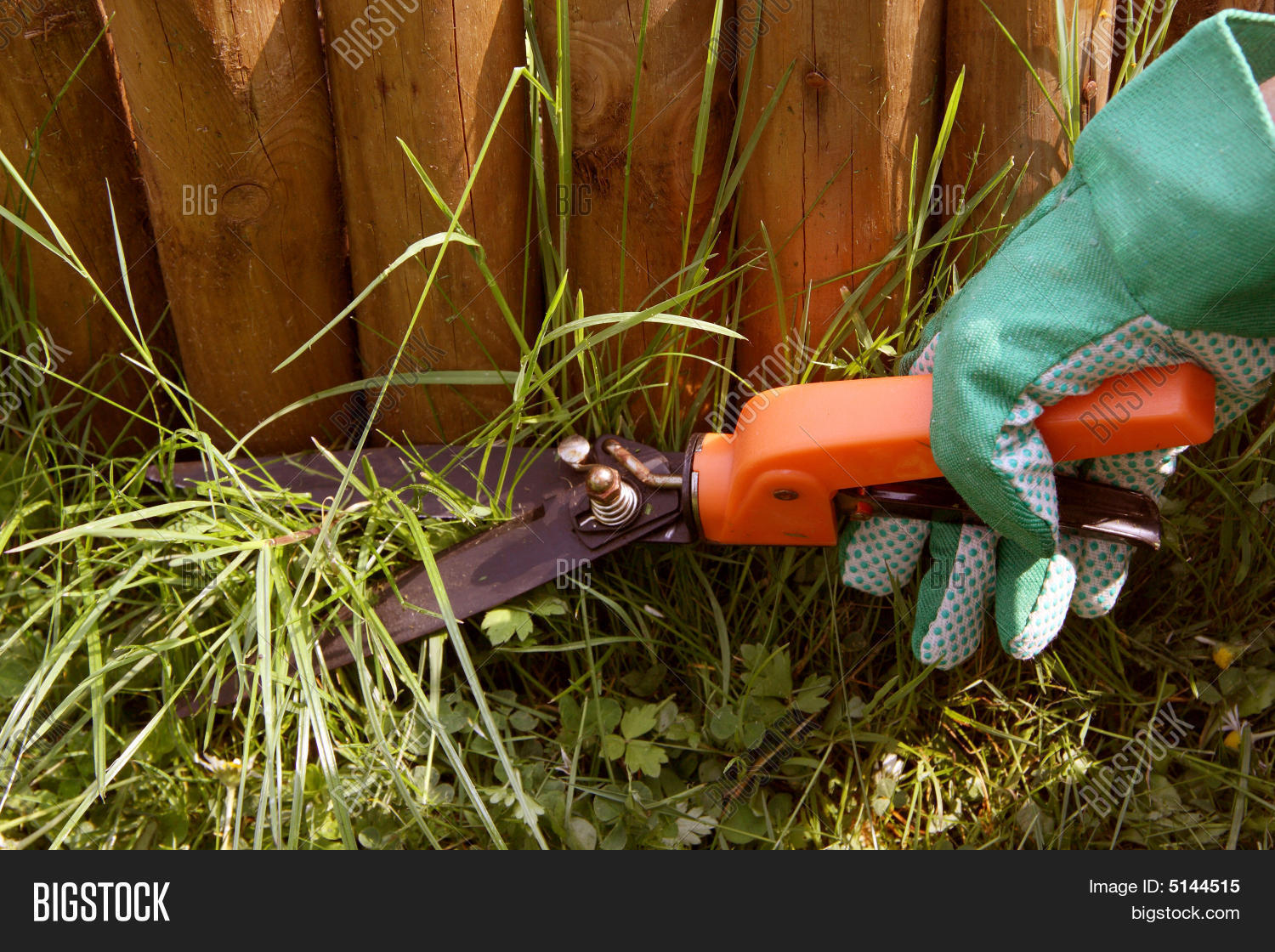 Trimming Grass Image & Photo (Free Trial) Bigstock