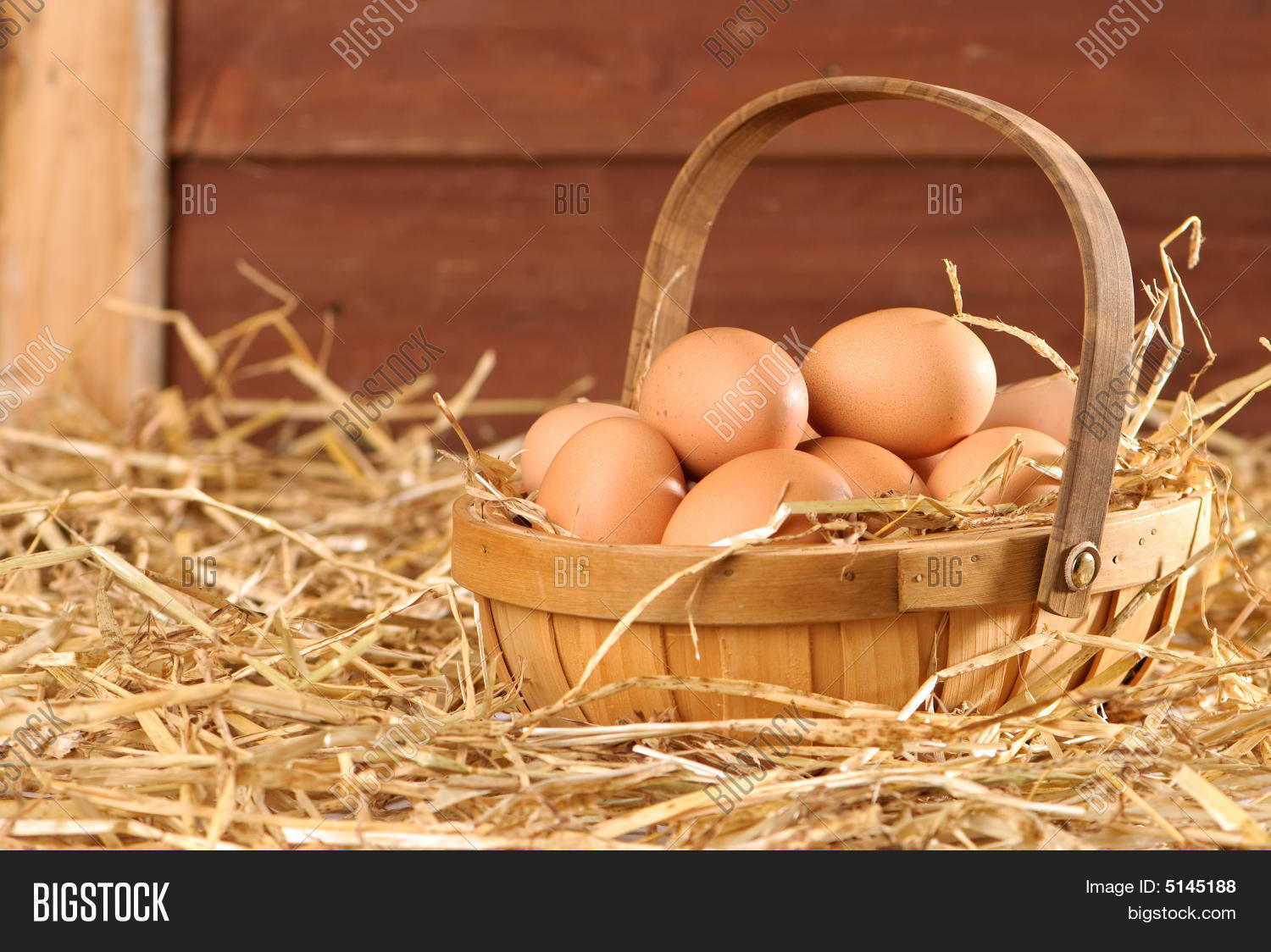 Eggs Barn Image & Photo (Free Trial) Bigstock