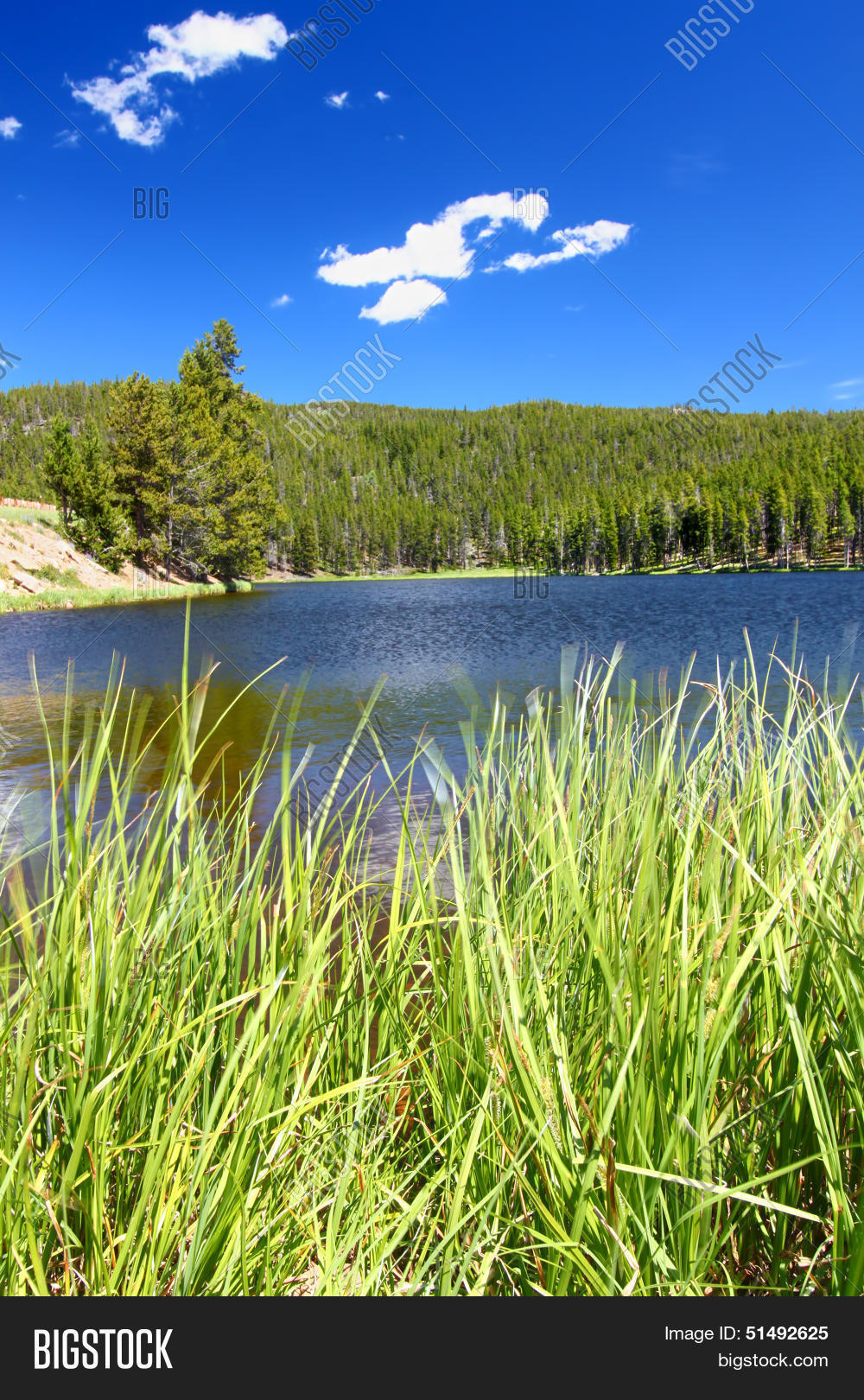 Sibley Lake Bighorn Image & Photo (Free Trial) Bigstock