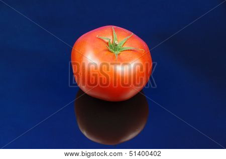 Tomato.