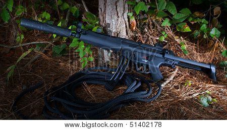 Suppressed Firearm