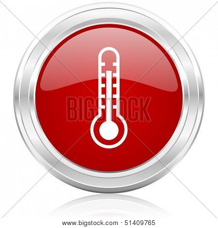 thermometer icon 