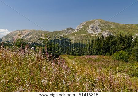 Ilgaz Mountains
