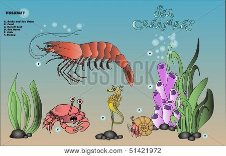 SeaCreatures.vol.1