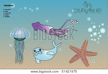 Sea Creatures Volume 2