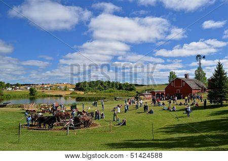 Threshing Bee and Reunion