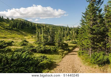 Carpathian Mountains next to Dragobrat, Ukraine