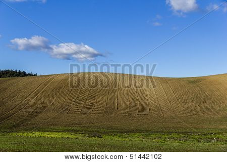 Plowed Field On A Clear Hill