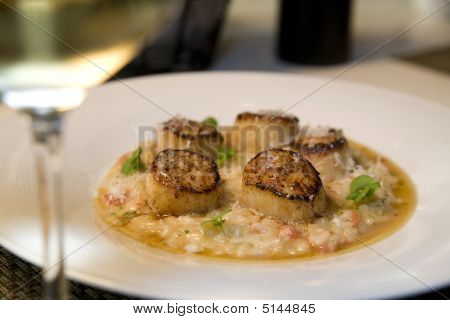 Gebratene Jakobsmuscheln auf risotto