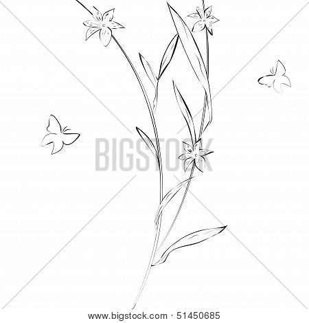 Calligraphy Vector Background.