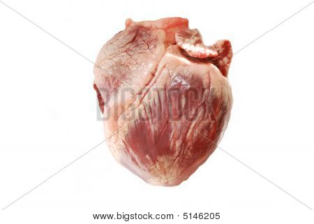 Cuore di maiale