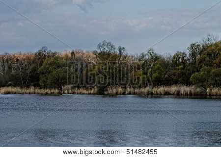 Reedy Lakeside