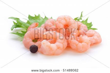 Shrimps