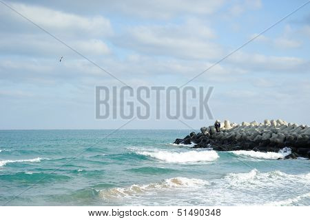 Tetrapod And Two Men