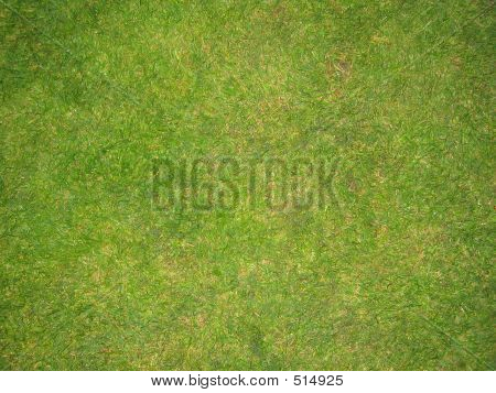 Grønne græs fodbold Pitch tekstur i England
