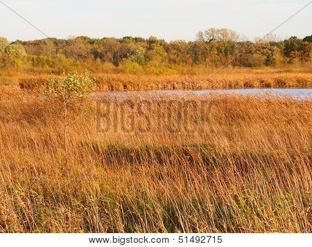 Wadsworth Prairie Nature Preserve Illinois