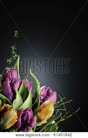 flowers in the dark