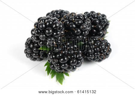 Mulberries Isolated