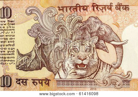 Importance Of Wildlife Animals Rhinoceros, Tiger And Elphant Depicted On A Indian Currency Note