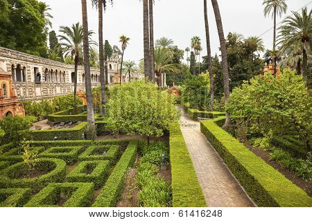 Palms Walls Garden Alcazar Royal Palace Seville Spain
