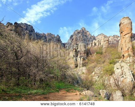 Rocky Mountain View