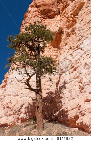 Bryce Canyon Nationalpark