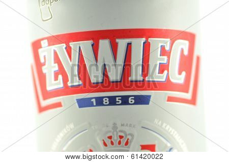Zywiec beer isolated on white background