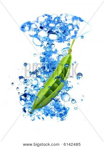 splash de fruta