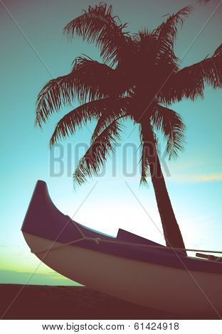 Retro Style Canoe And Palm Tree