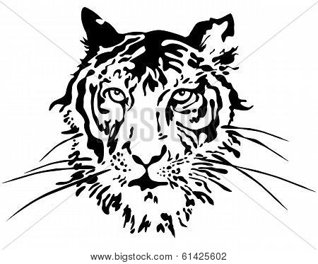 Tiger Face