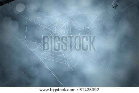 Syder Web Trap