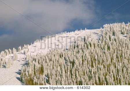 Montagna in inverno