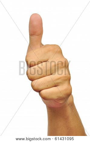 Thumbs Up
