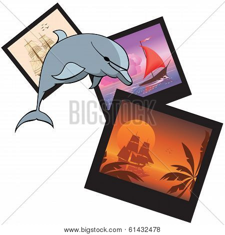 Dolphin And  Photoframes