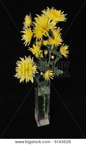 Gule blomster