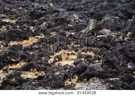 Black Basaltic Seaside In Jeju Island