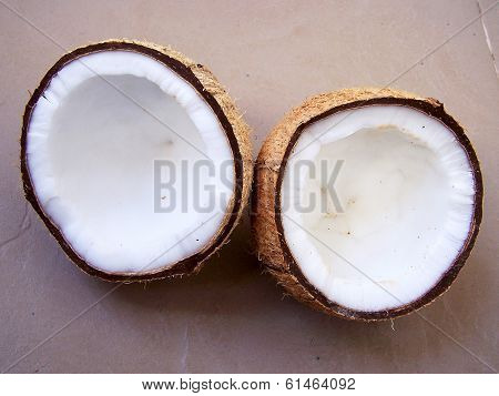 coconut palm drupe or fruit depicting the white fleshy part used in cooking