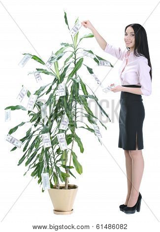 Business Woman And Money