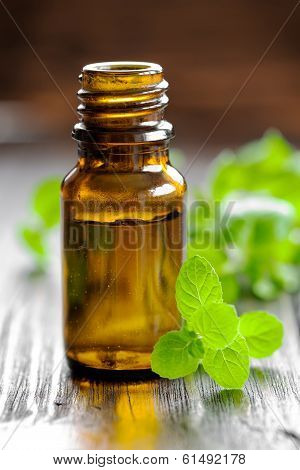 Mint oil