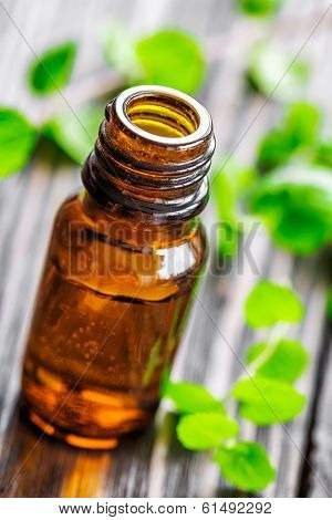 Mint oil