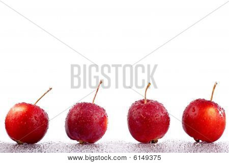 Crabapples