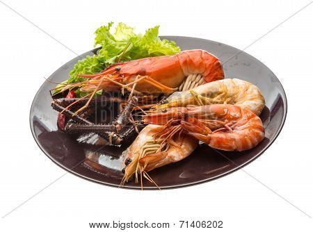 Giant Freshwater Prawn And King Prawns