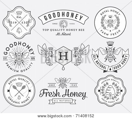 Honey And Bees 2